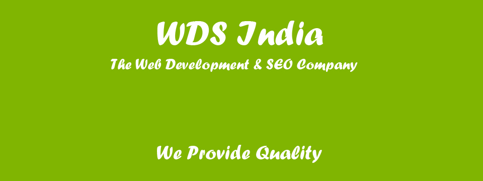 Web Development and SEO Company